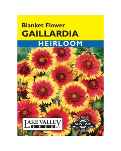 Gaillardia, Blanket Flower Heirloom