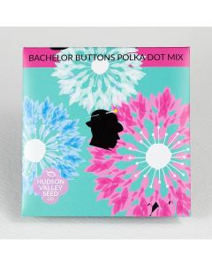 Centaurea, Bacheoler Button, Polka Dot Mix