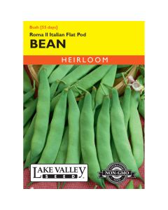 Phaseolus, Bean (Bush) Roma II Italian Flat Pod