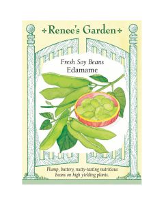 Glycine, Soy Bean 'Edamame' ~ 22 seeds