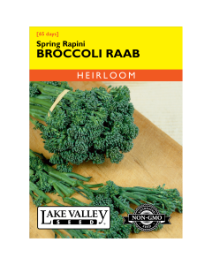 Brassica, Broccoli Raab 'Spring Rapini' Heirloom