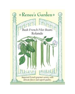 Phaseolus, Bean (Bush), Rolande French ~ 47 seeds