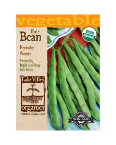 Phaseolus, Flat Bean (Pole) 'Kentucky Wonder' Organic Heirloom