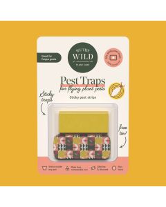 We The Wild Compostable Gnat Traps