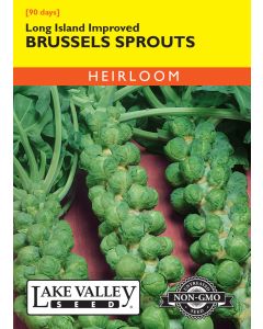 Brassica, Brussel Sprouts, Long Island Improved, 1.5g