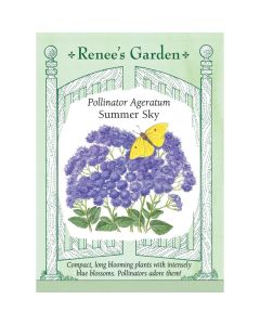 Ageratum 'Summer Sky' ~ 1000 seeds