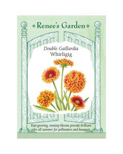 Gaillardia, Blanket Flower Mix 'Whirligig' ~ 125 seeds