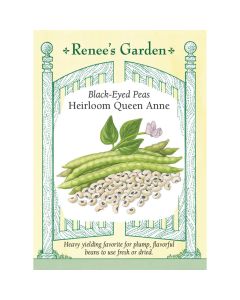 Vigna, Black-Eyed Peas 'Queen Anne"