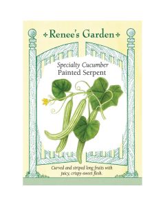 Cucumis, Armenian Cucumber 'Painted Serpent' ~ 26 seeds