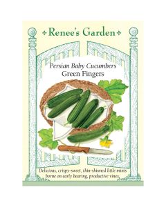 Cucumis, Cucumber 'Green Fingers' Hybrid ~ 18 seeds