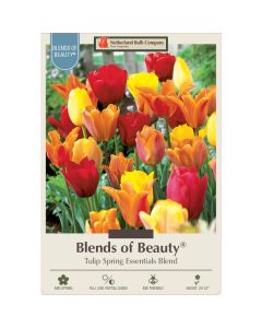 Tulipa Assortment, 'Spring Essentials'