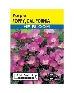 Eschscholzia, California Poppy 'White' Heirloom