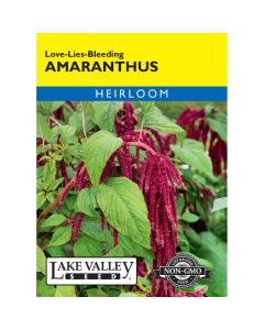 Amaranthus, Love-Lies-Bleeding Heirloom