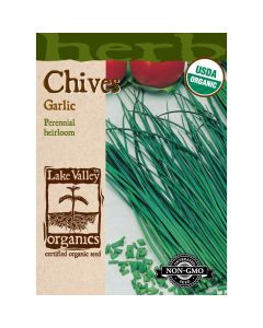 Allium, Chives 'Garlic' Organic Heirloom