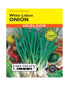 Allium, Scallion Onion 'White Lisbon Bunching' Heirloom Value Pack