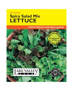 Lettuce Mix 'Spicy Salad' Value Pack