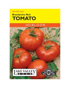 Solanum, Tomato (Pole) 'Brandywine Red'