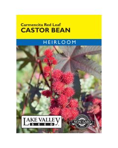 Ricinus, Castor Bean 'Carmencita Red Leaf' Heirloom