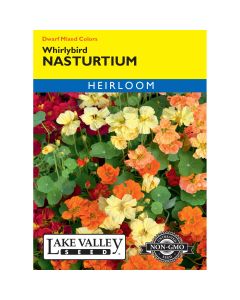 Tropaeolum, Dwarf Nasturtium 'Whirlybird' Mixed Colors