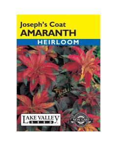 Amaranthus, Joseph’s Coat