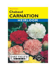 Dianthus, Carnation Mix 'Chabaud' Heirloom