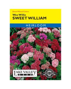 Dianthus, Sweet William Mix 'Wee Willie' Heirloom