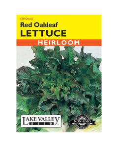 Lactuca, Lettuce 'Red Oakleaf Brunia'