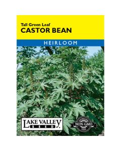 Ricinus, Castor Bean 'Tall Green Leaf' Heirloom