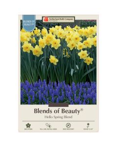 All Fall Bulbs, Blends of Beauty 'Hello Spring'