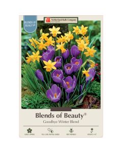 All Fall Bulbs, Blends of Beauty 'Goodbye Winter'