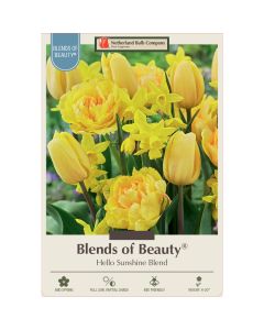 All Fall Bulbs, Blends of Beauty 'Hello Sunshine'