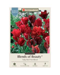 Tulipa Assortment, 'Red Hot'