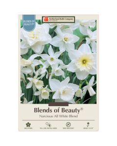 Narcissus Assortment, All White Mixture