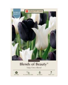 Tulipa Assortment, 'Oreo Blend'