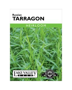 Artemisia, Russian Tarragon
