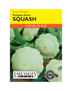 Cucurbita, Pattypan 'Green' Heirloom