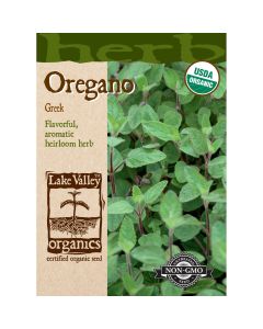 Origanum, Greek Oregano 'True' Organic Heirloom