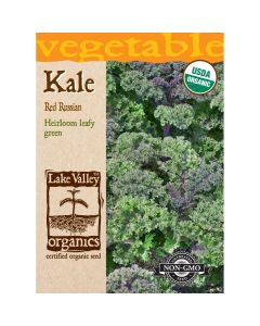 Brassica, Kale 'Red Russian' Organic Heirloom