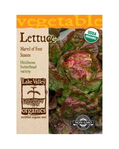 Lactuca, Lettuce 'Marvel Of Four Seasons'