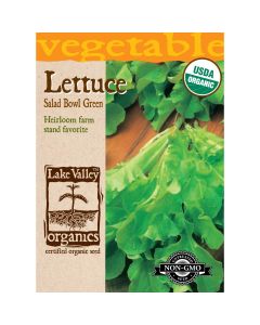 Lactuca, Loose-Leaf Lettuce 'Salad Bowl Green' Organic Heirloom
