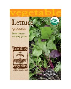 Greens Mix 'Spicy Salad' Organic