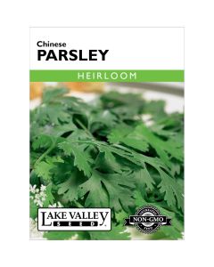 Coriandrum, Cilantro 'Chinese Parsley' Heirloom