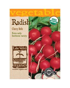 Raphanus, Radish 'Cherry Belle' Organic Heirloom