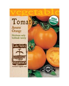Solanum, Tomato Beefsteak (Pole) 'Amana Orange' Organic Heirloom