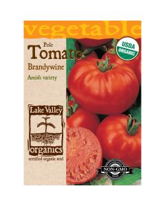 Solanum, Tomato Beefsteak (Pole) 'Brandywine Red' Organic Heirloom