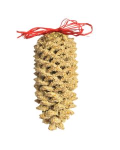 Mr. Bird, Giant Pine Cone