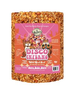 Mr. Bird Disco Inferno Large Cylinder