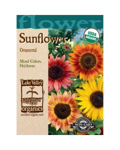 Helianthus, Sunflower Mix 'Ornamental' Organic Heirloom