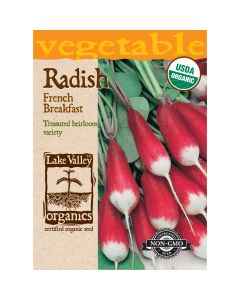 Raphanus, Radish 'French Breakfast'