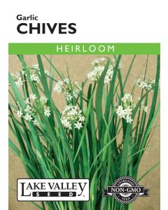 Allium, Chives, Garlic Chives, 0.75g